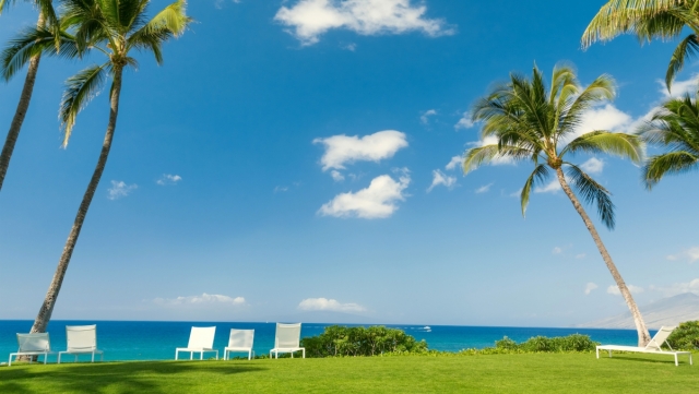 安装又卸载了无数个TO-DO任务管理软件，最后我只留下了这一款